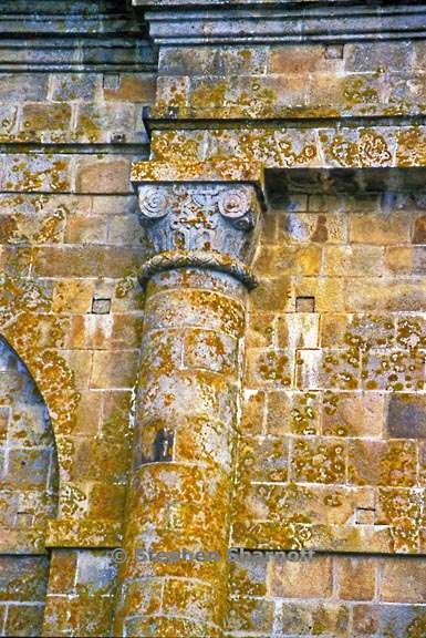 lichens on monument graphic